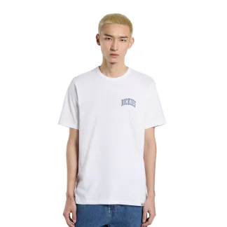 Dickies Aitkin Chest T-Shirt White/Blue